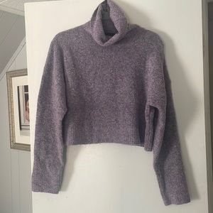 Kittenish crop sweater